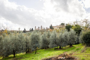 Spacious Estate in San Gimignano